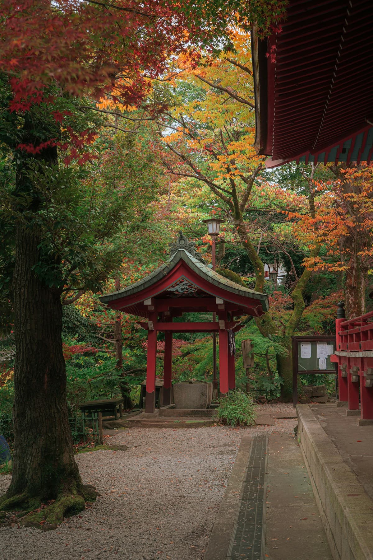 내장산 단풍 여행 (가을 한정) 2